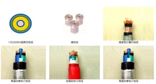 山東智造 綠色創新驚艷全球，環保產品引領未來市場